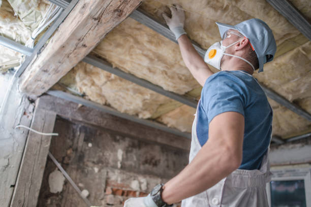 Best Insulation for Specific Applications in Romulus, MI