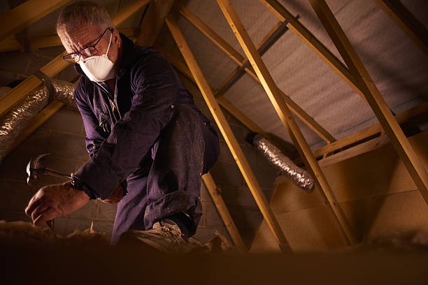 Best Insulation Maintenance and Repair in Romulus, MI